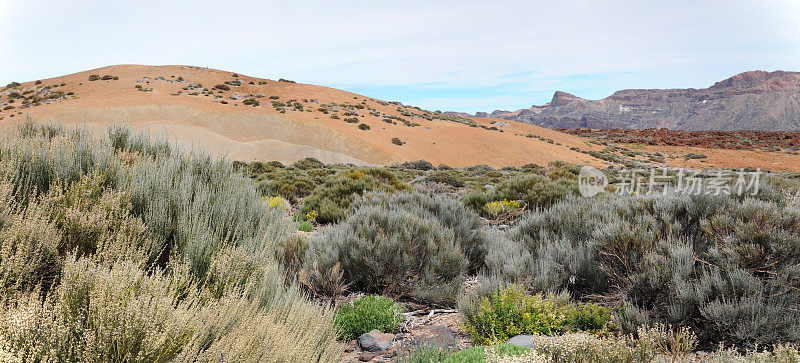 Teide国家公园和无树的Llano de Ucanca山谷。特内里费